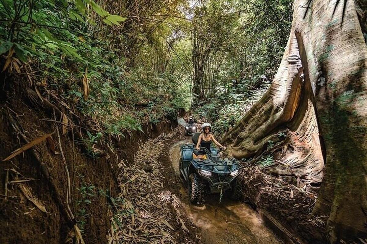 seseorang yang menunggang basikal quad melalui hutan