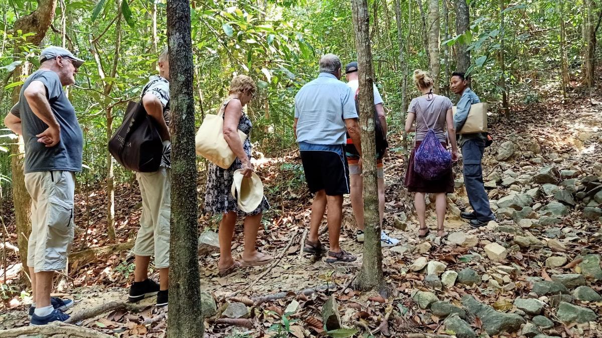 a group of people standing on a trail in the woods