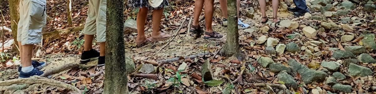 un grup de persones caminant pel bosc