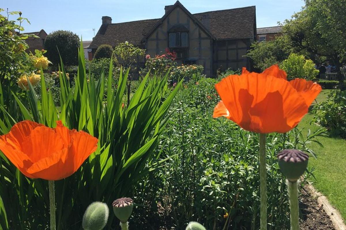 a garden with orange flowers in front of a house