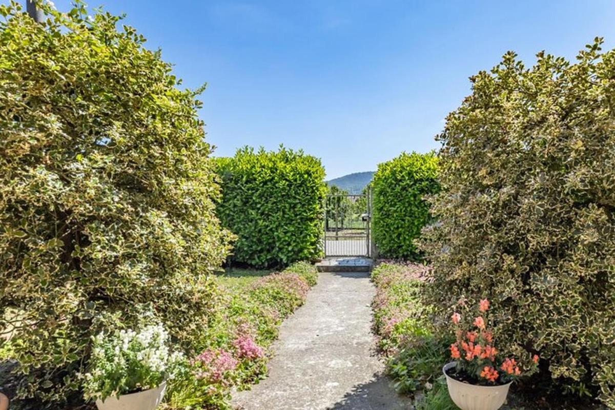 a garden with bushes and flowers and a gate