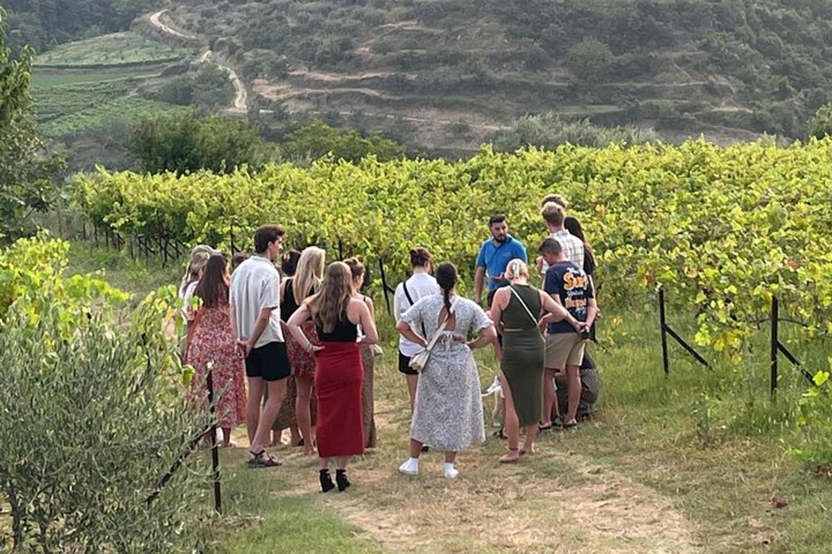 skupina ljudi, ki se sprehaja skozi vinograd