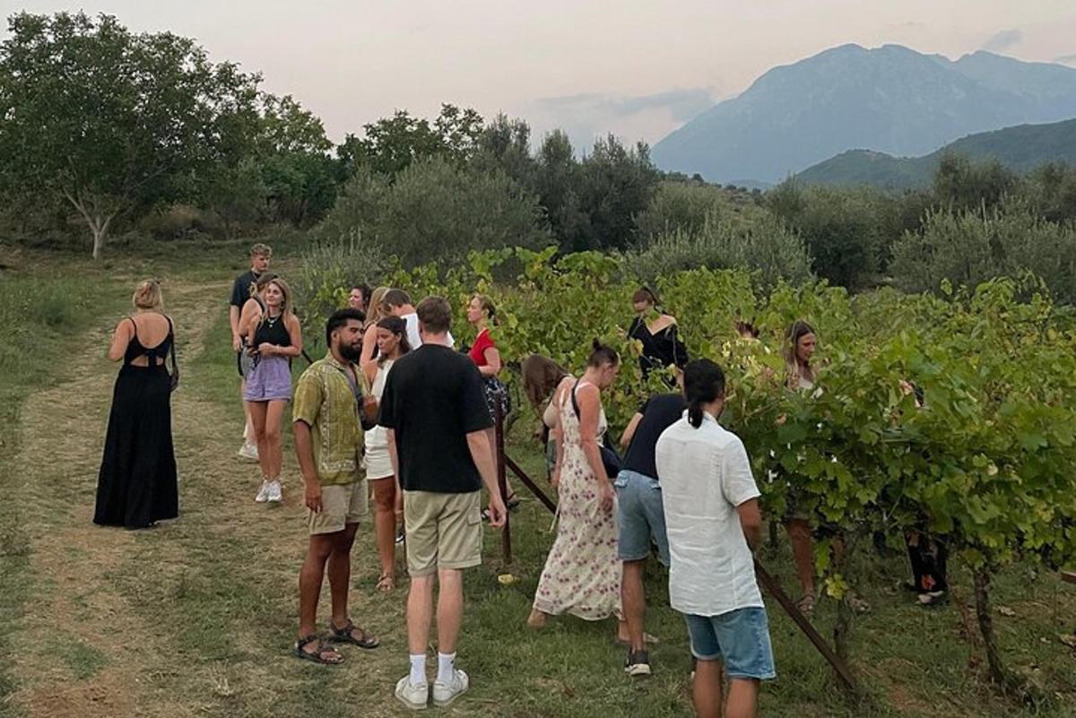 skupina ljudi, ki stojijo naokoli v vinogradu