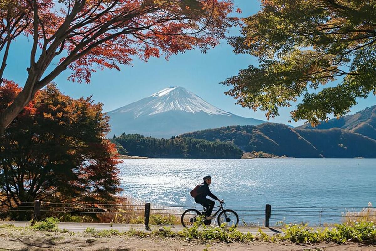 un uomo in bicicletta davanti a una montagna