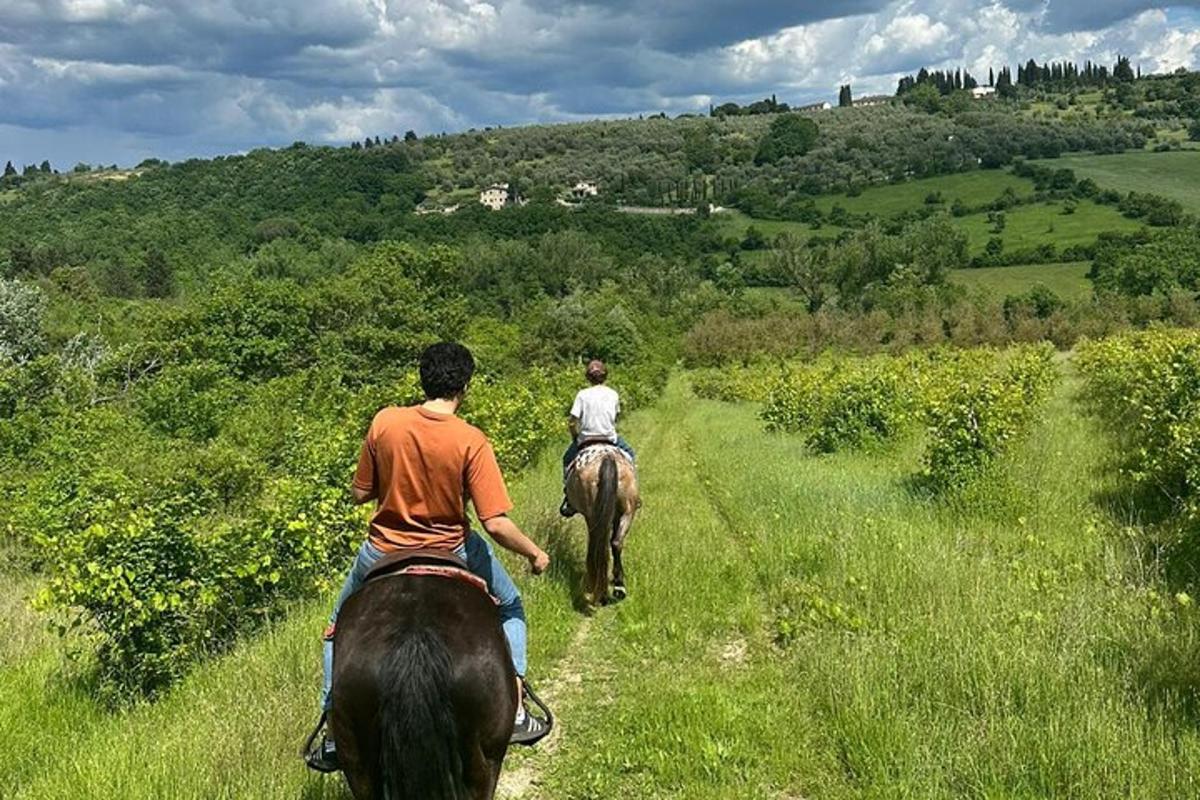 dvaja ľudia jazdiaci na koňoch na poli