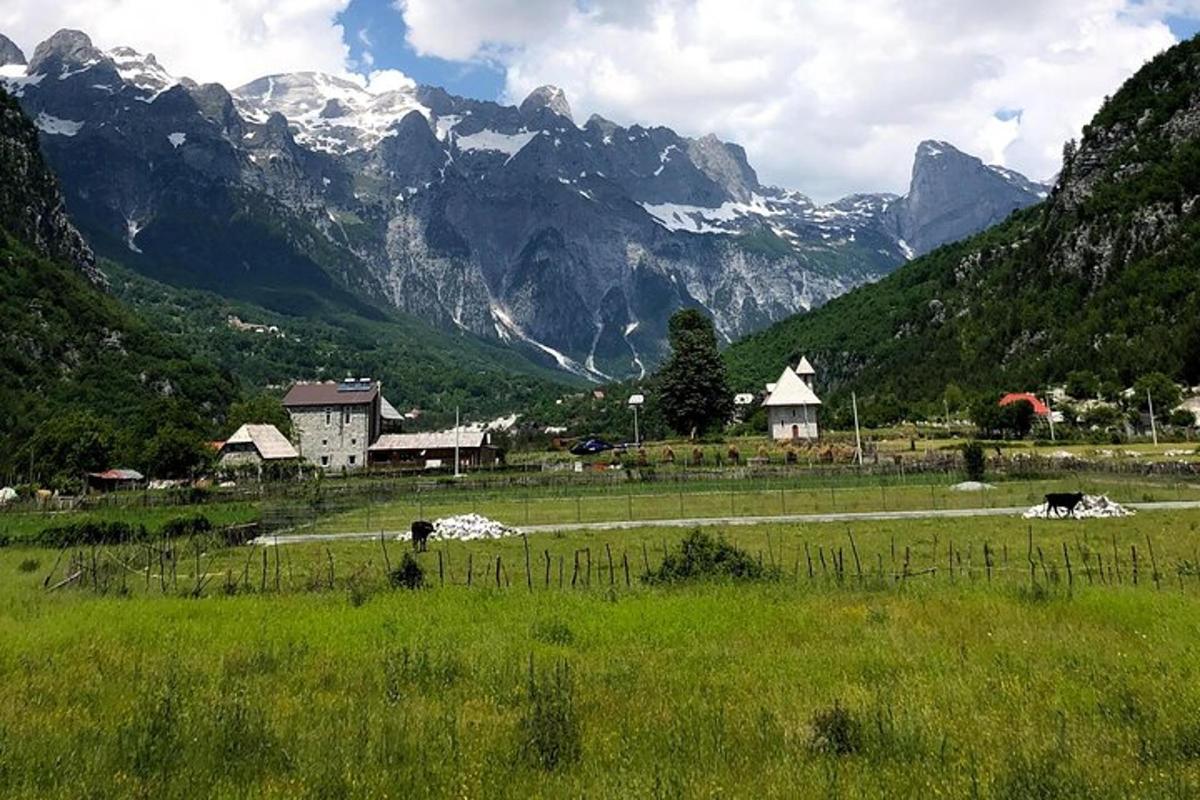 un campo d'erba con le montagne sullo sfondo