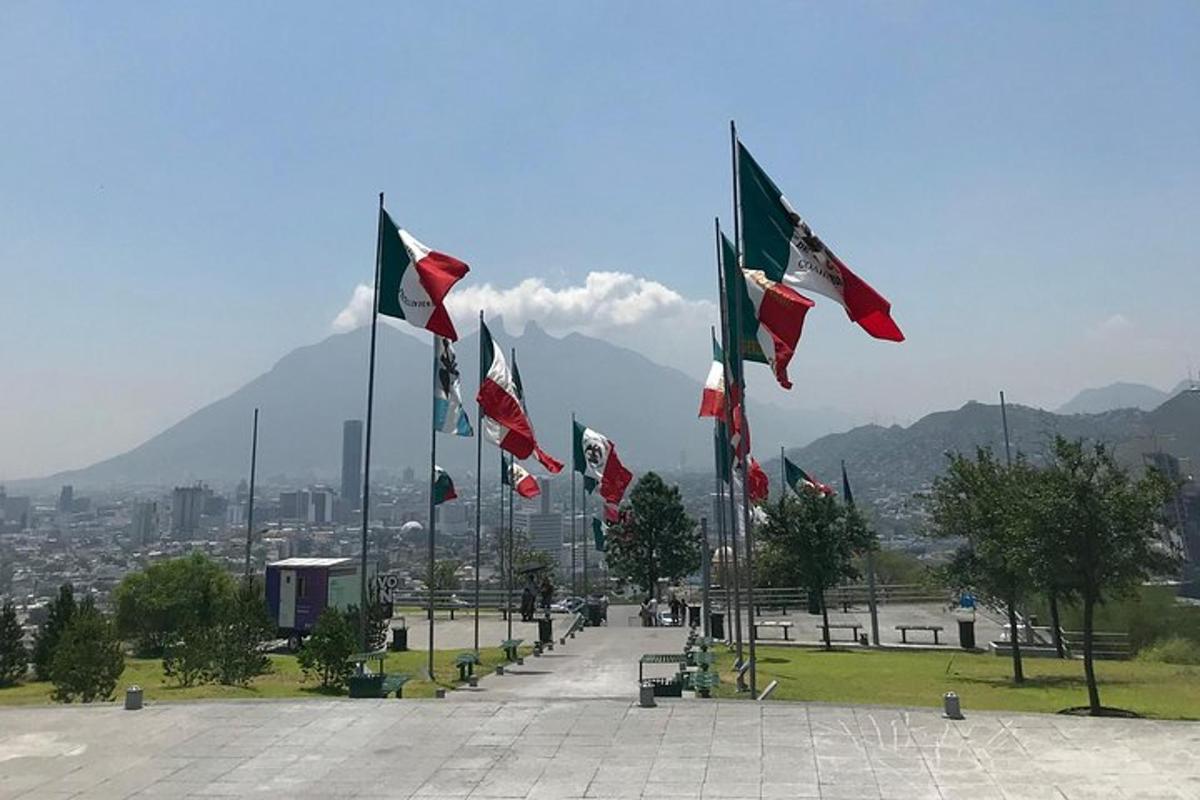 a bunch of flags are flying in a park