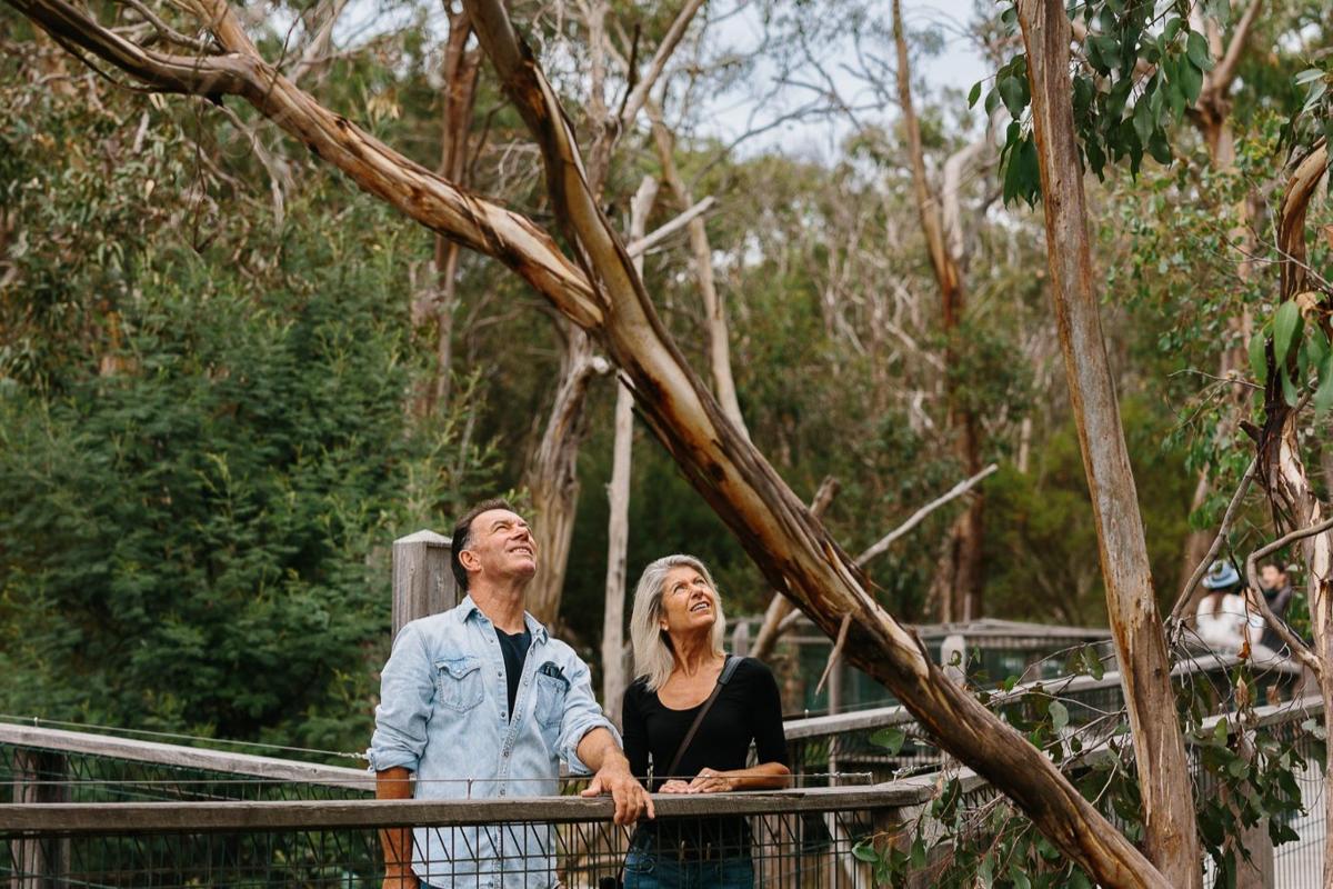 a man and a woman standing on a bridge