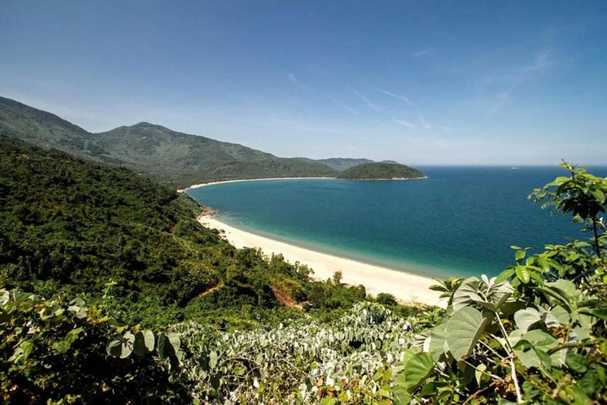 una vista de una playa con el océano