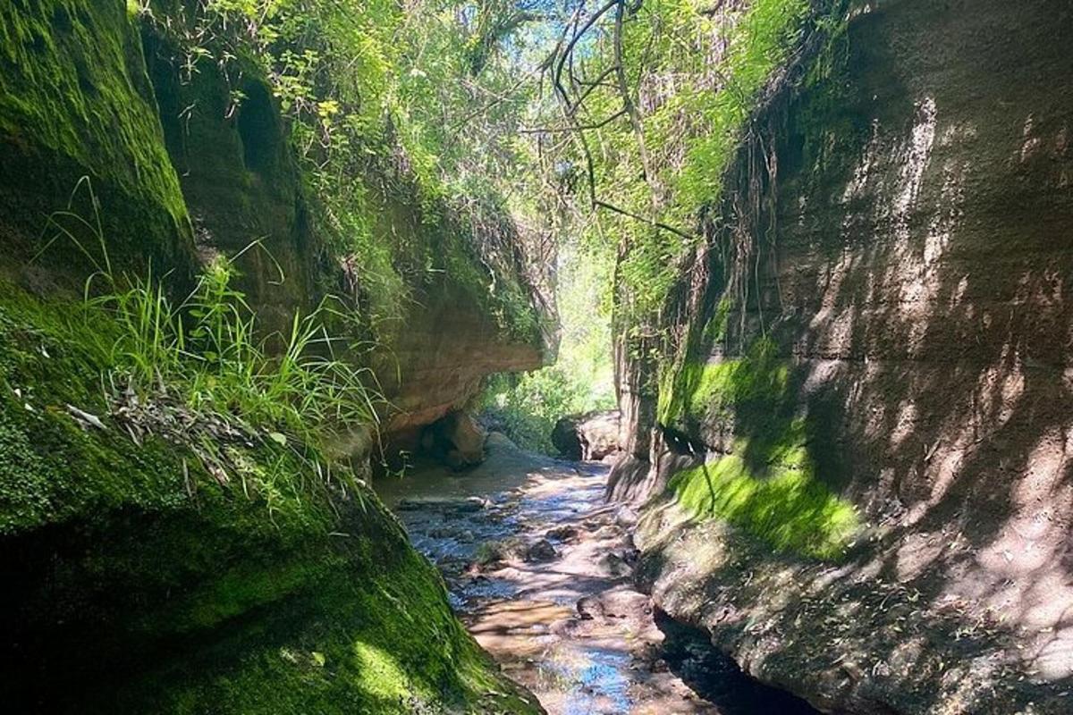 a view of a river in a canyon