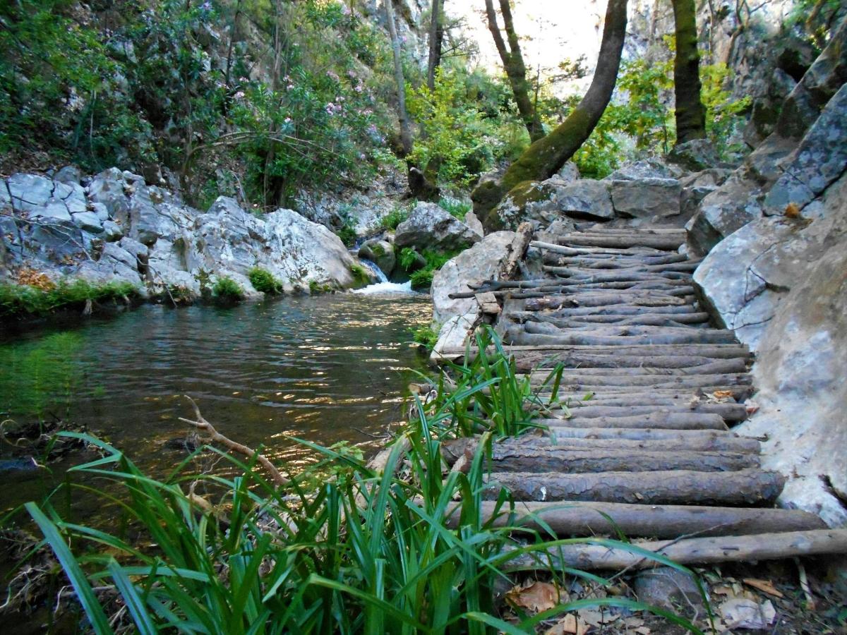 a set of stone steps next to a river