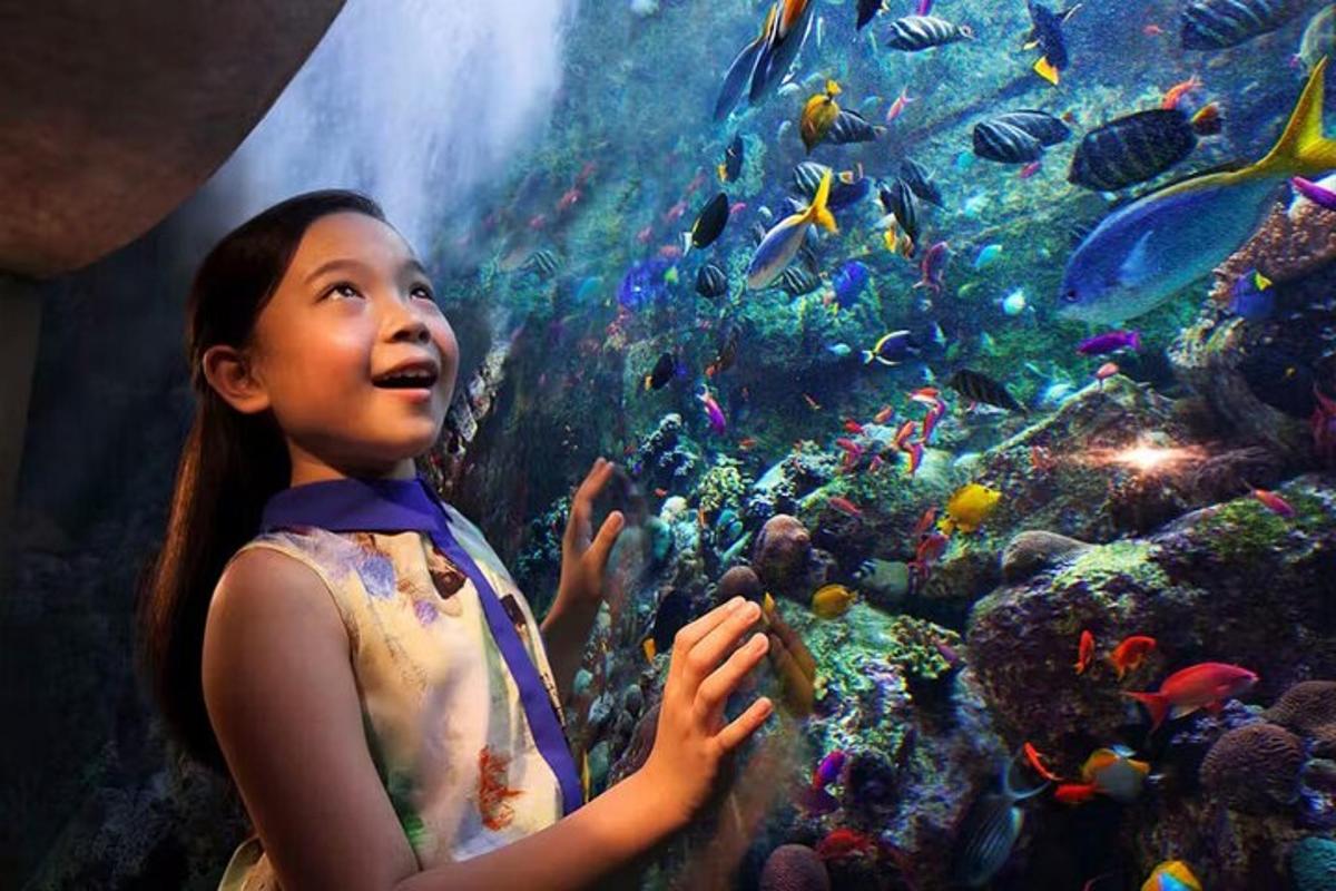 a little girl standing in front of an aquarium