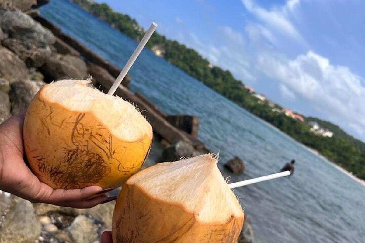 una persona che tiene in mano una noce di cocco con una cannuccia