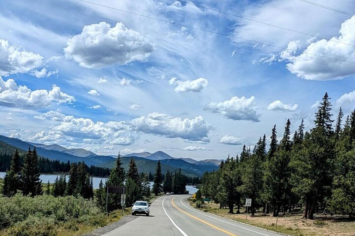 a car driving down a road with trees on the side