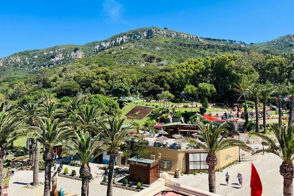 uma vista de um resort com palmeiras e uma montanha