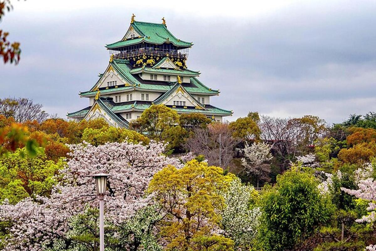 Japonský hrad s akurami před ním