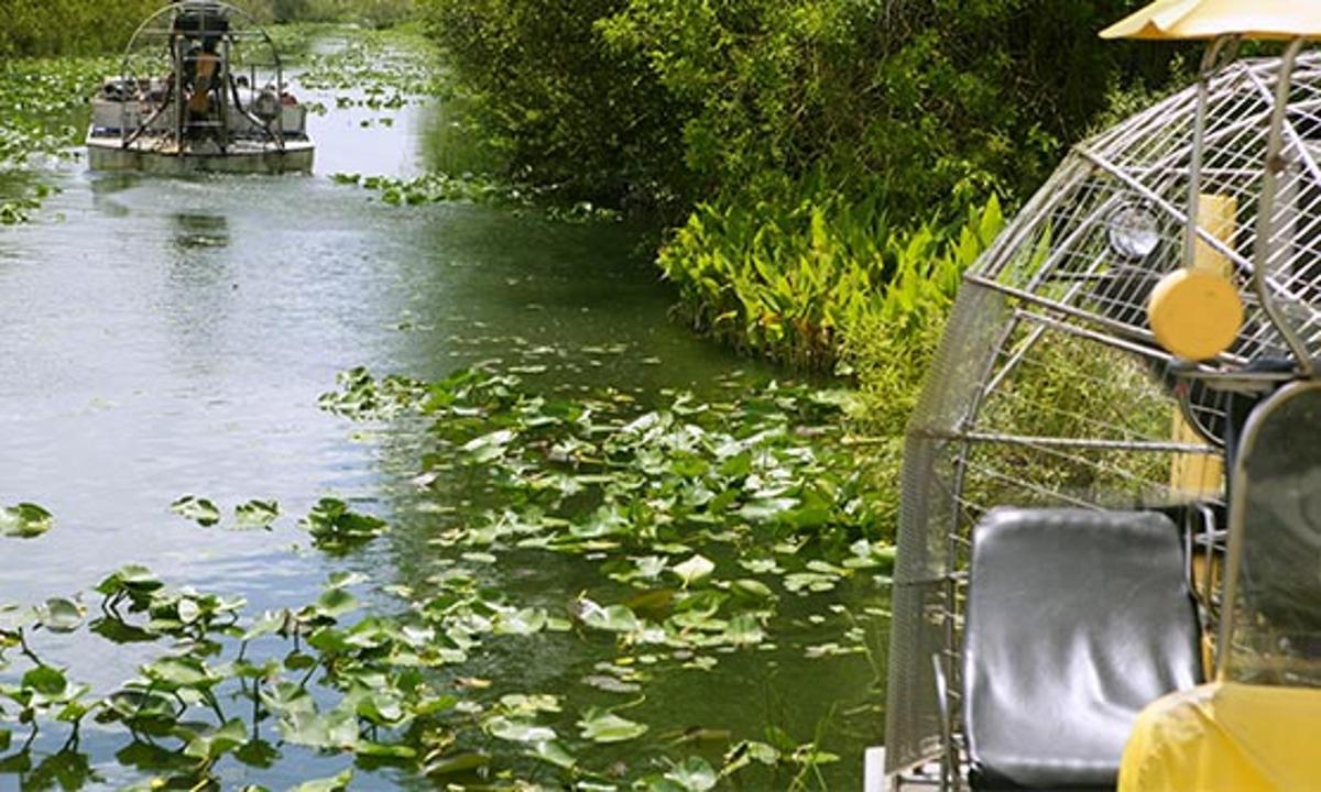 a boat traveling down a river with lilies on it