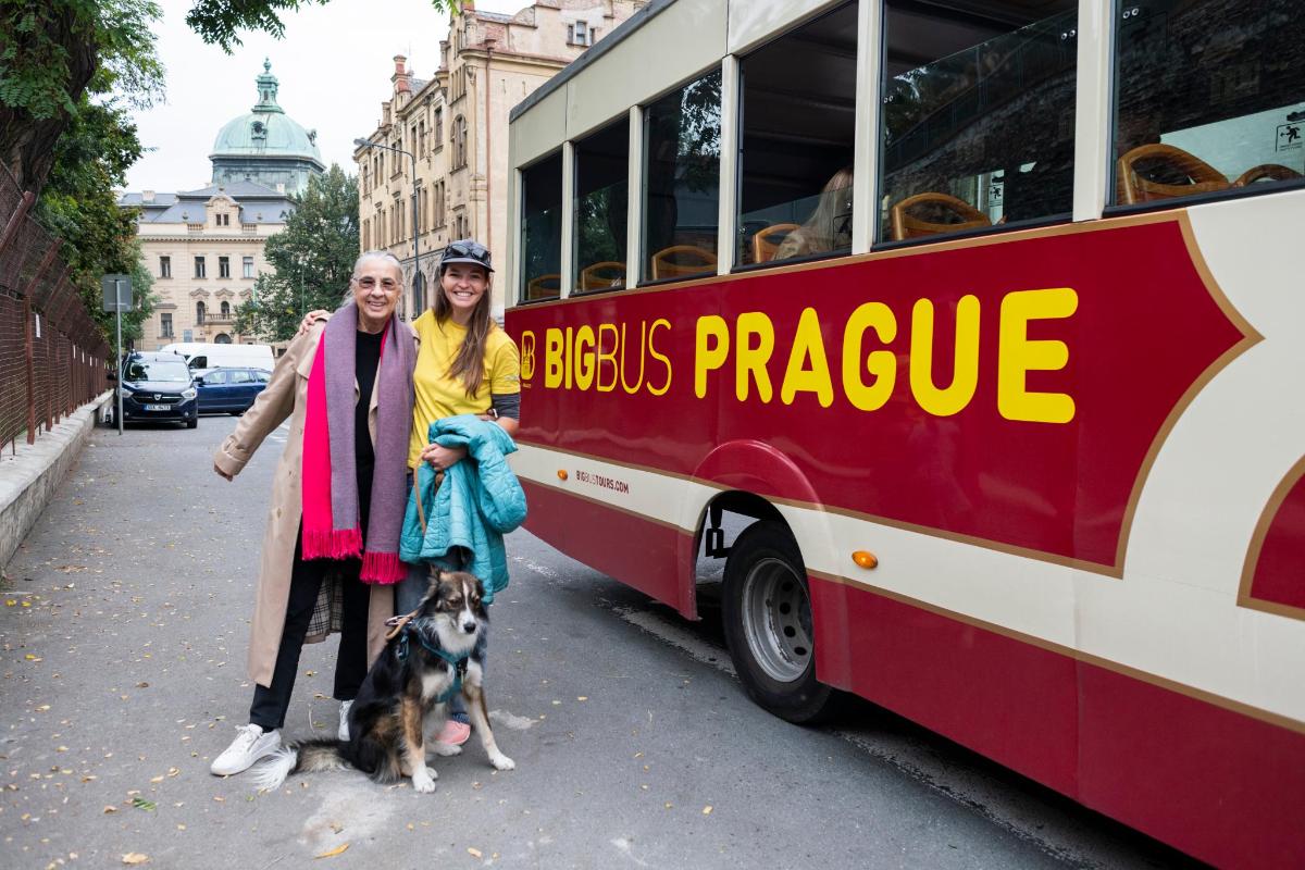 Zdjęcie numer 2 atrakcji