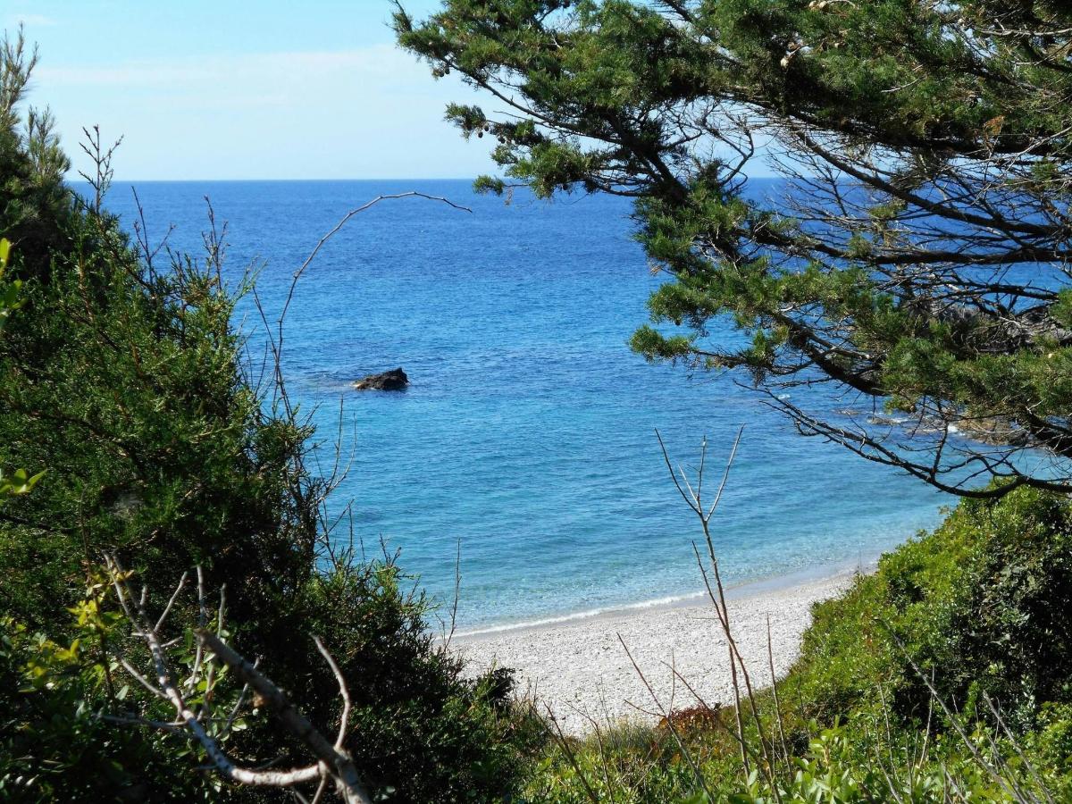 a view of the beach from a hill with trees