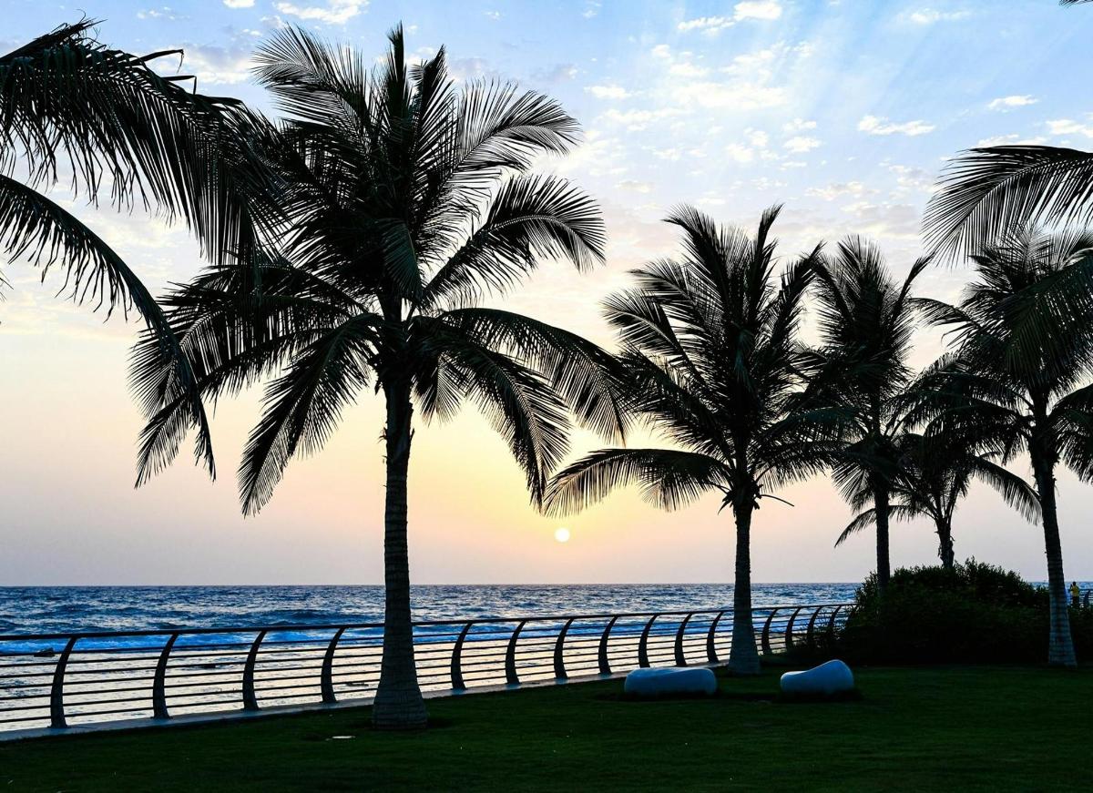 a group of palm trees on the beach at sunset