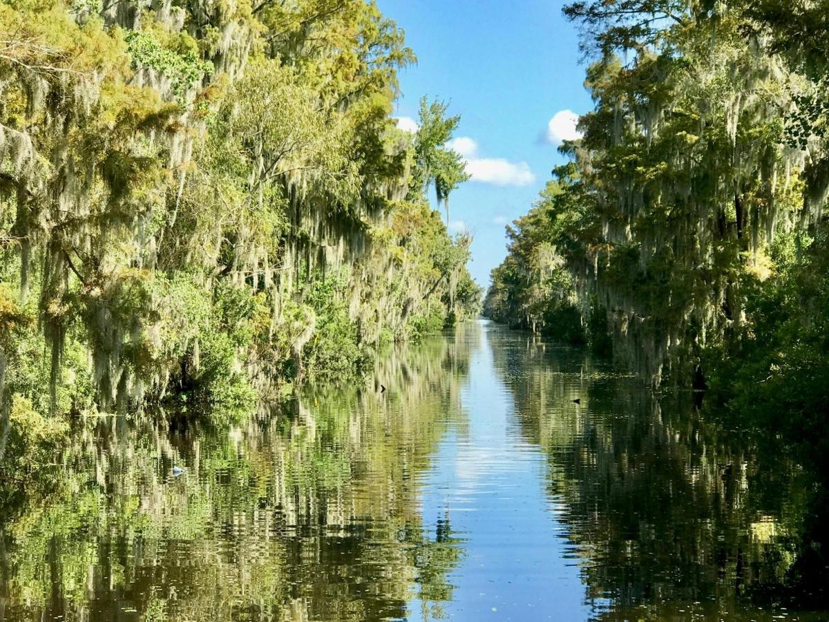 Un río con árboles a los lados.