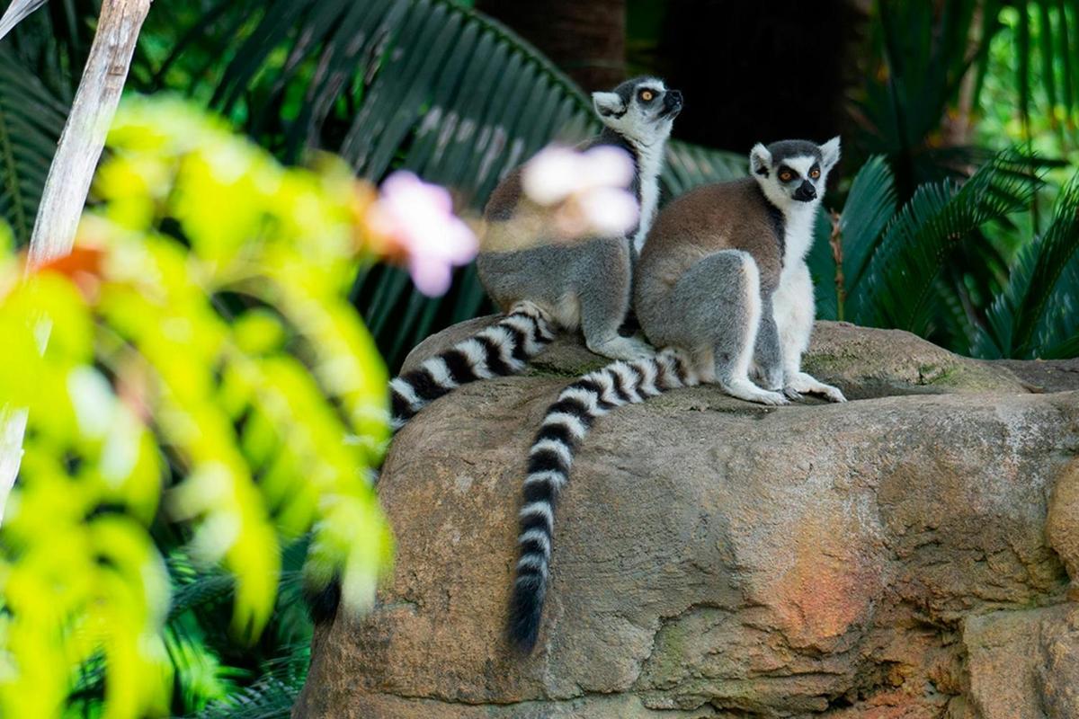 Photo de l’attraction numéro 2.