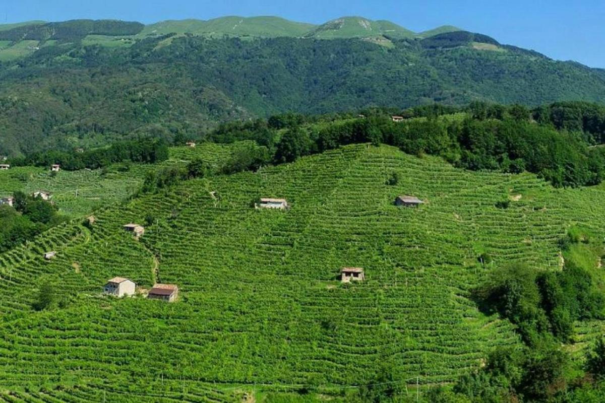 a large green hill with houses on top of it