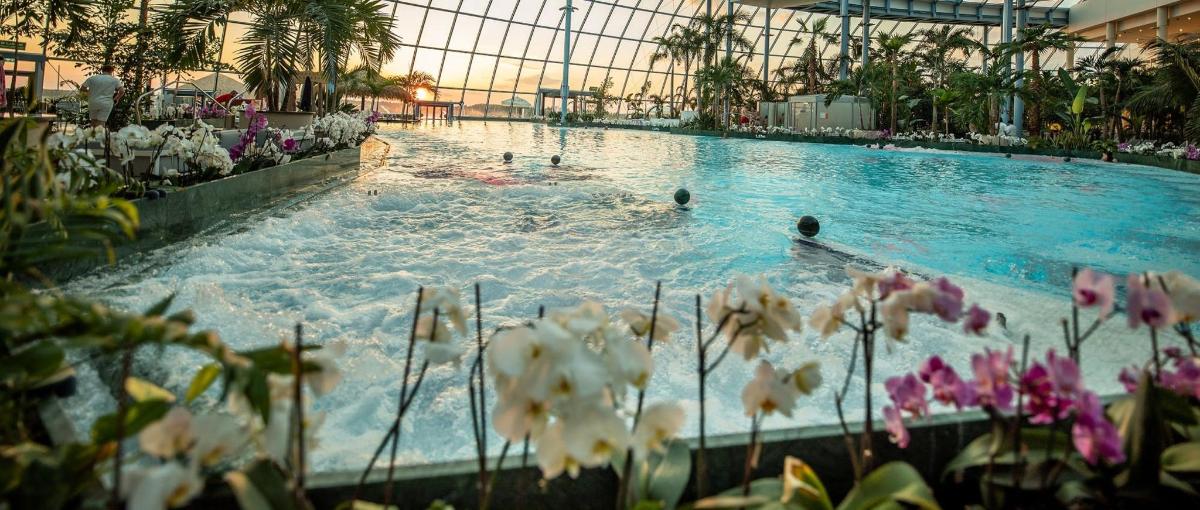 Una gran piscina con gente en el agua.