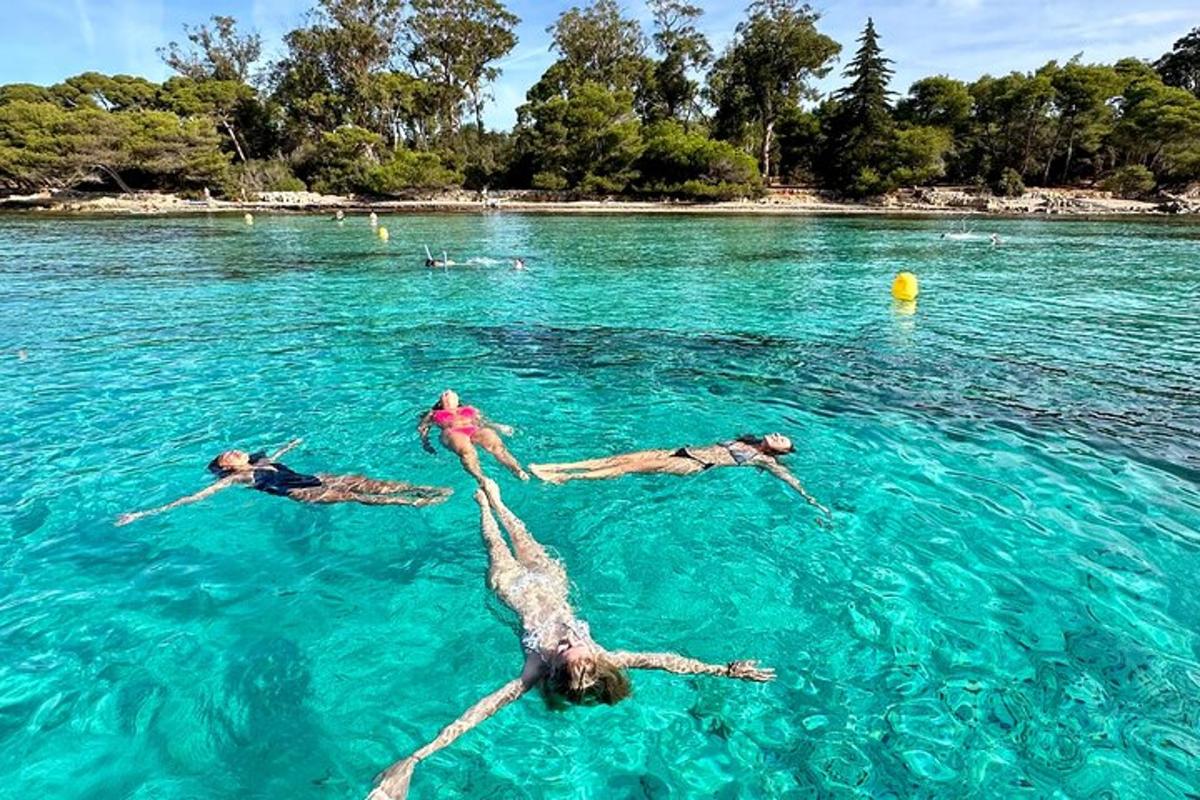 sekelompok orang yang sedang berenang di air