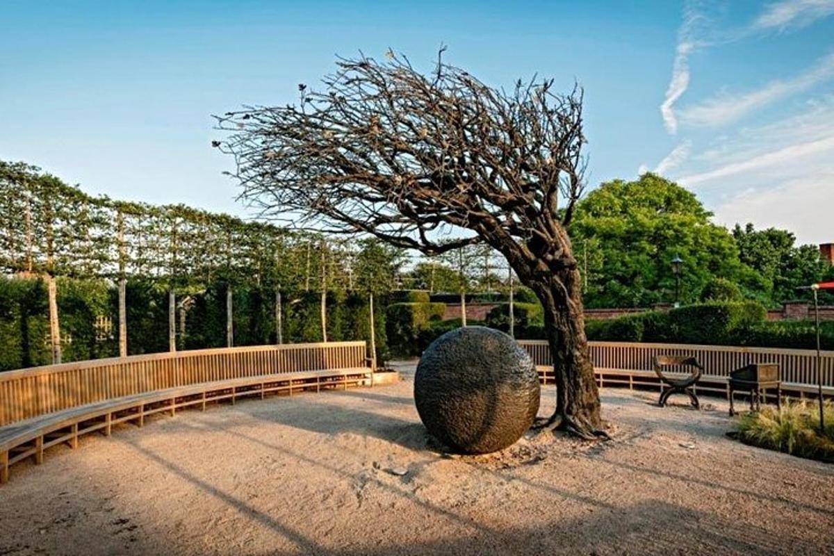 a tree sitting in the middle of a park