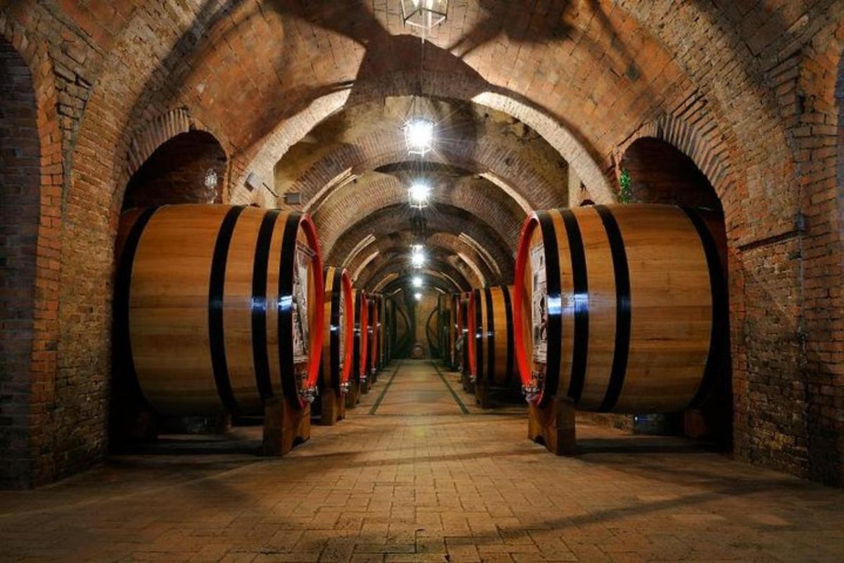 una fila di botti di vino in una cantina