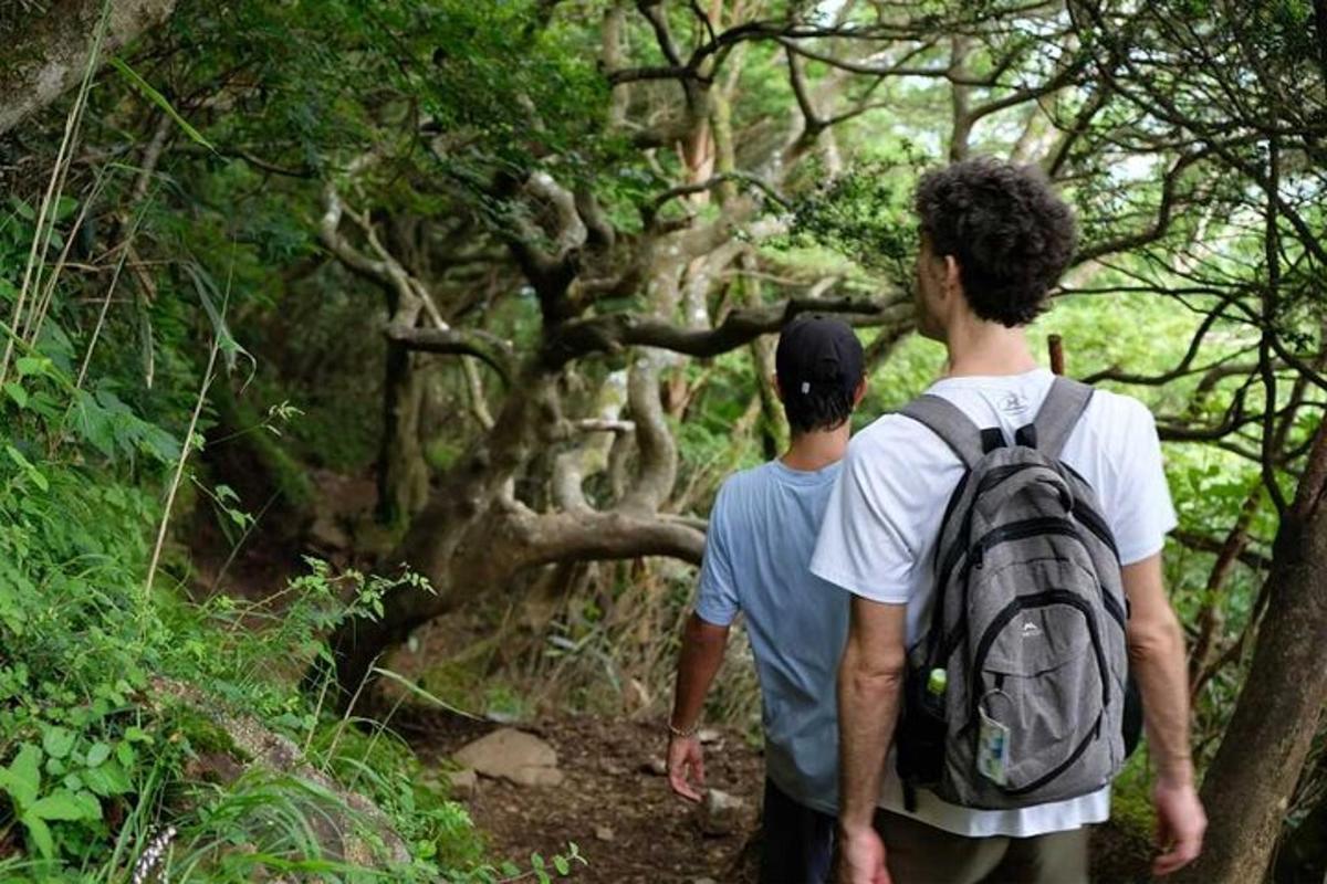 dua lelaki berjalan menyusuri denai di dalam hutan