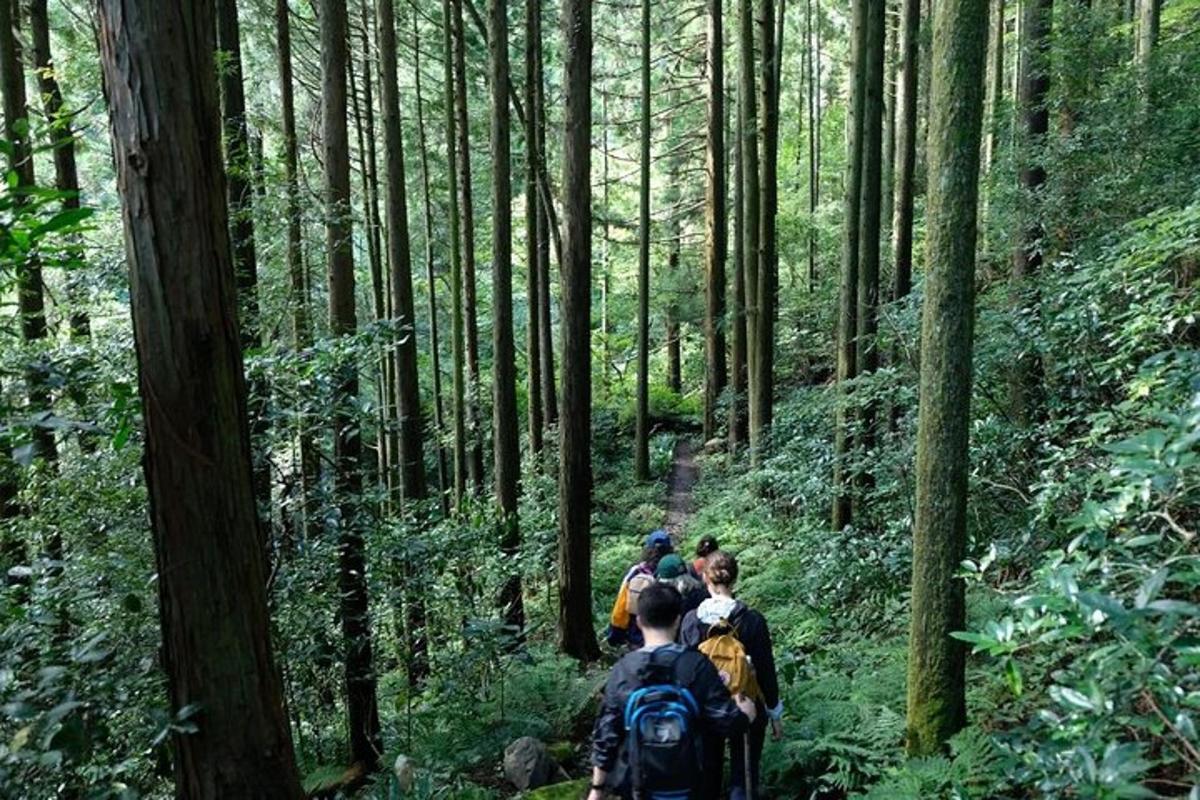 sekumpulan orang berjalan di atas denai di dalam hutan