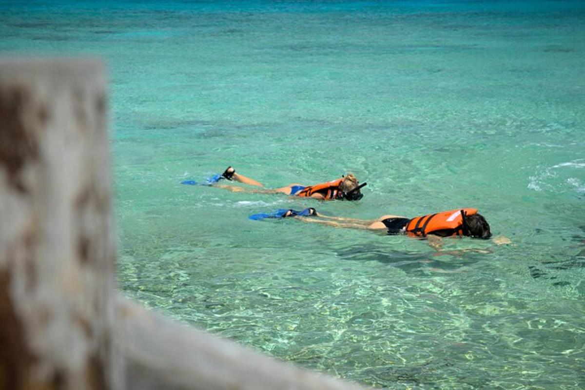 drei Personen liegen auf Surfbrettern im Wasser