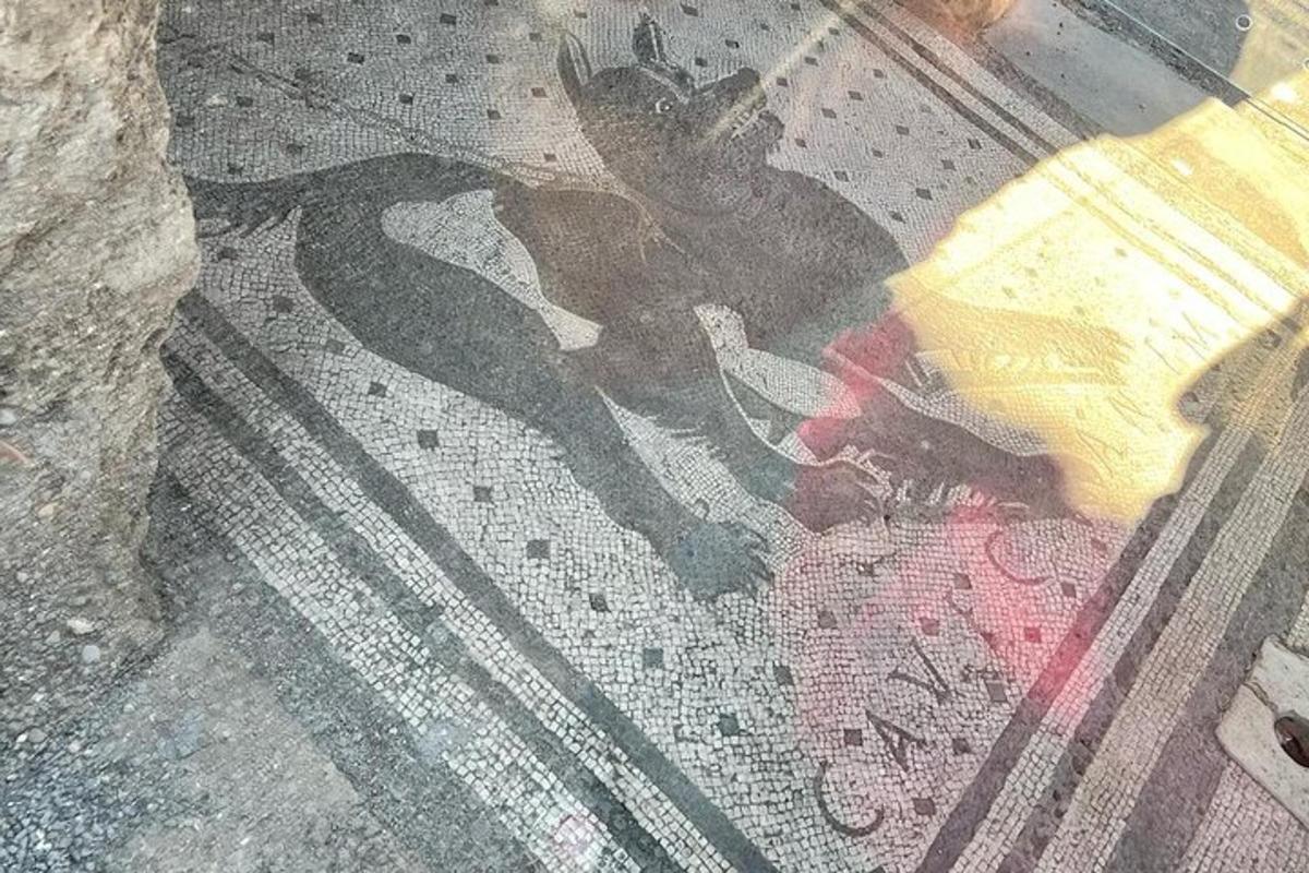 躺在床上的人影