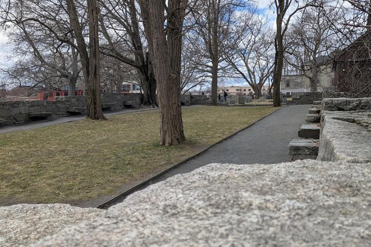 egy sétány egy fákkal és füvvel borított parkban