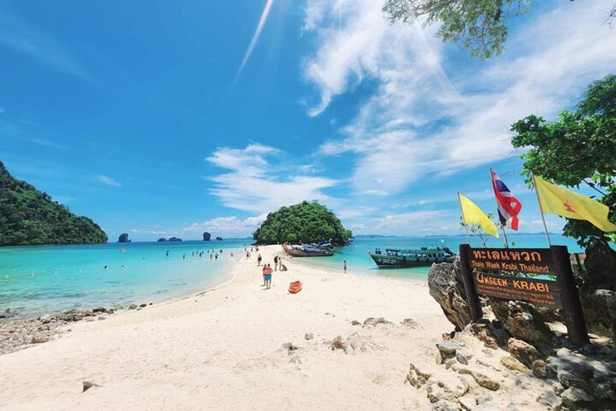 pantai dengan sekumpulan orang di dalam air