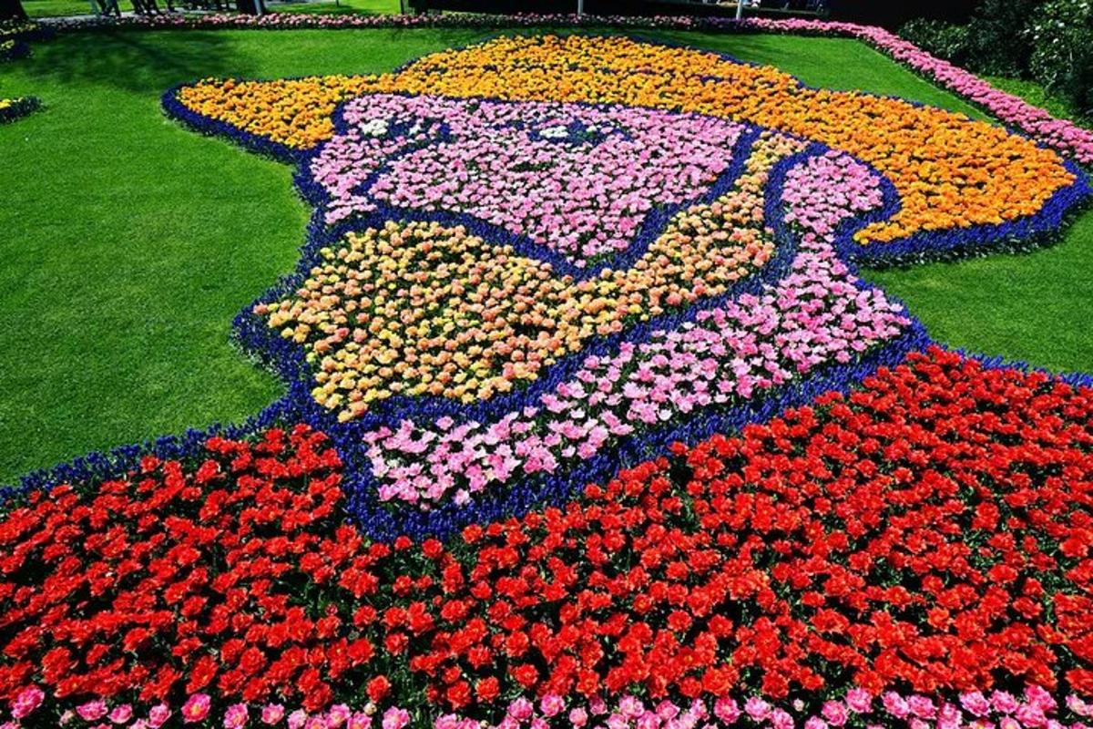 a flower bed of flowers in a garden
