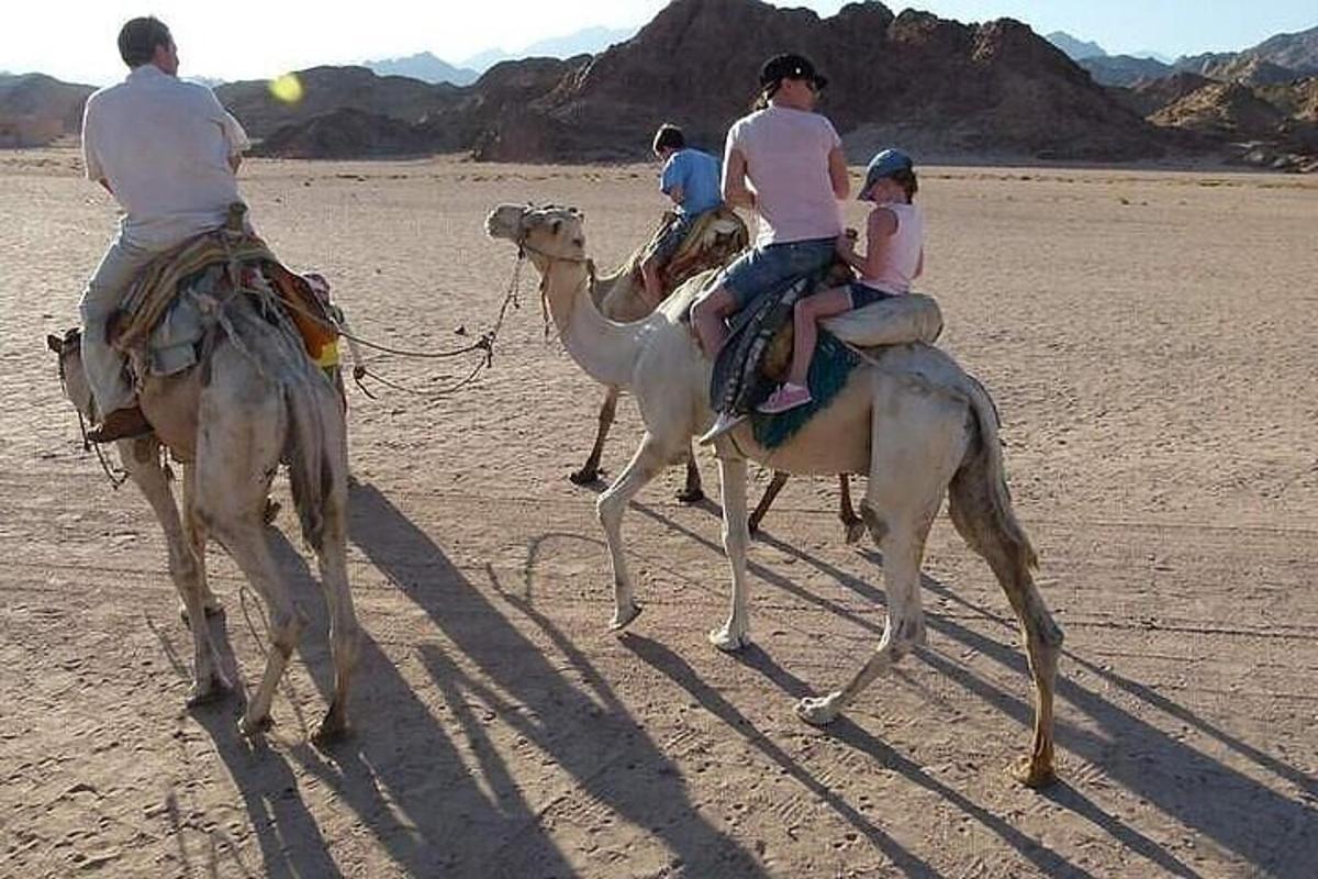 مجموعة من الناس يركبون الجمال في الصحراء