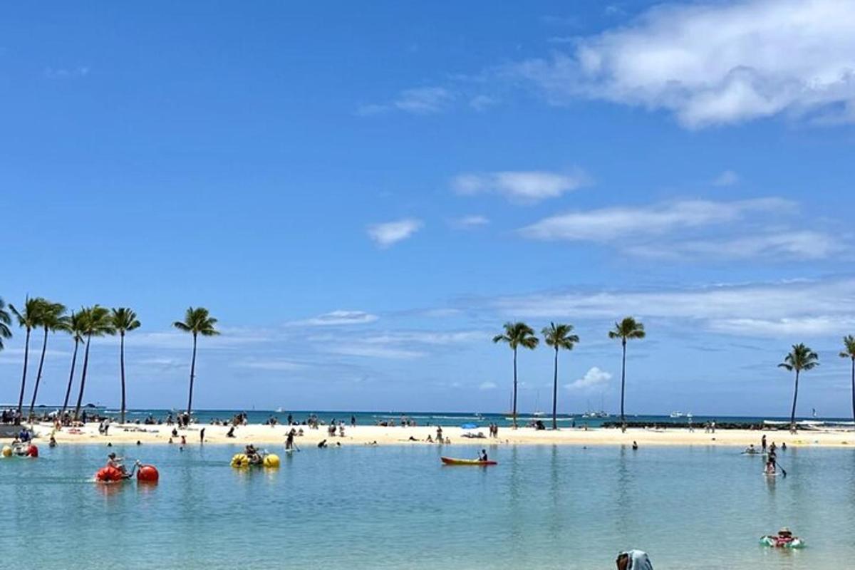 una playa con palmeras y gente en el agua