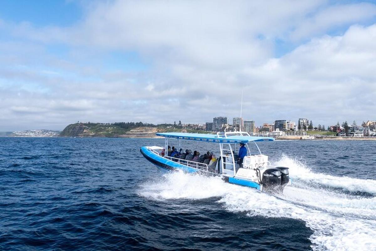 a blue boat with people on it in the water