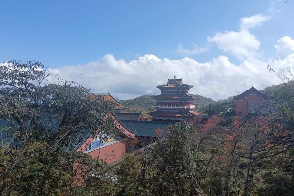 a pagoda in the middle of a city with trees