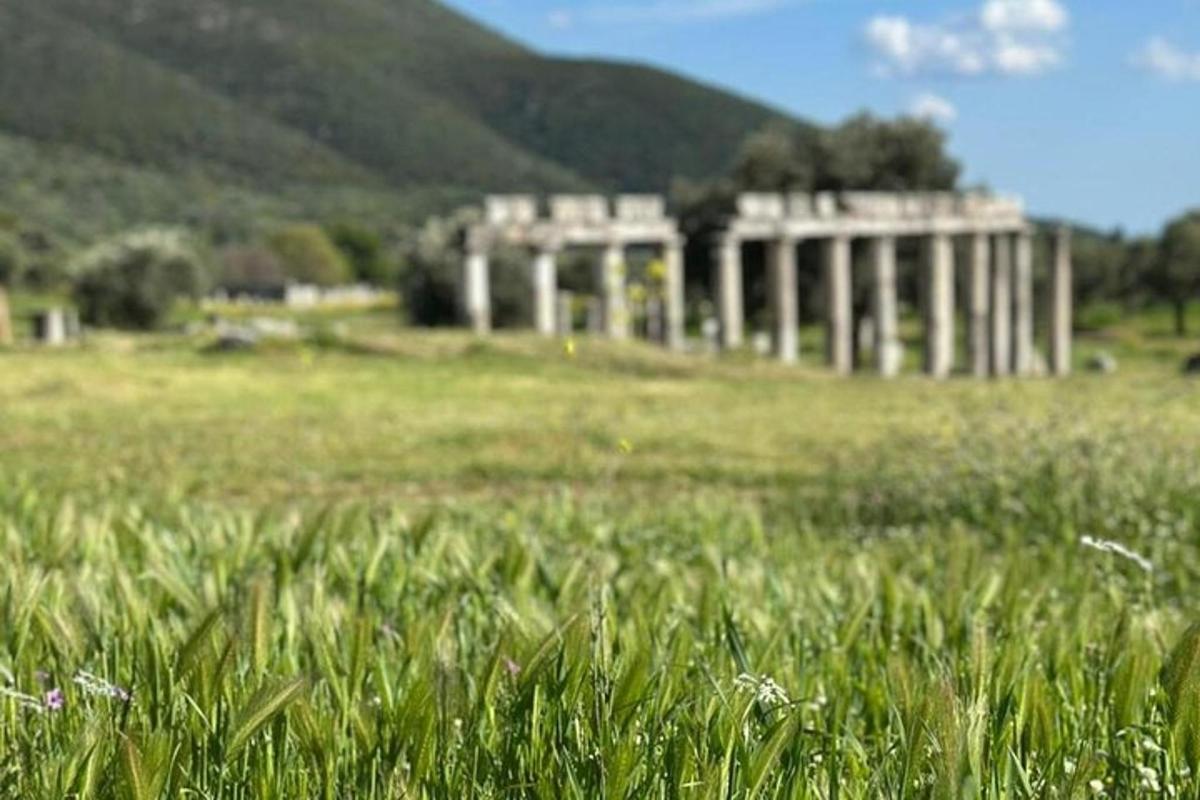 um campo de grama com um prédio ao fundo