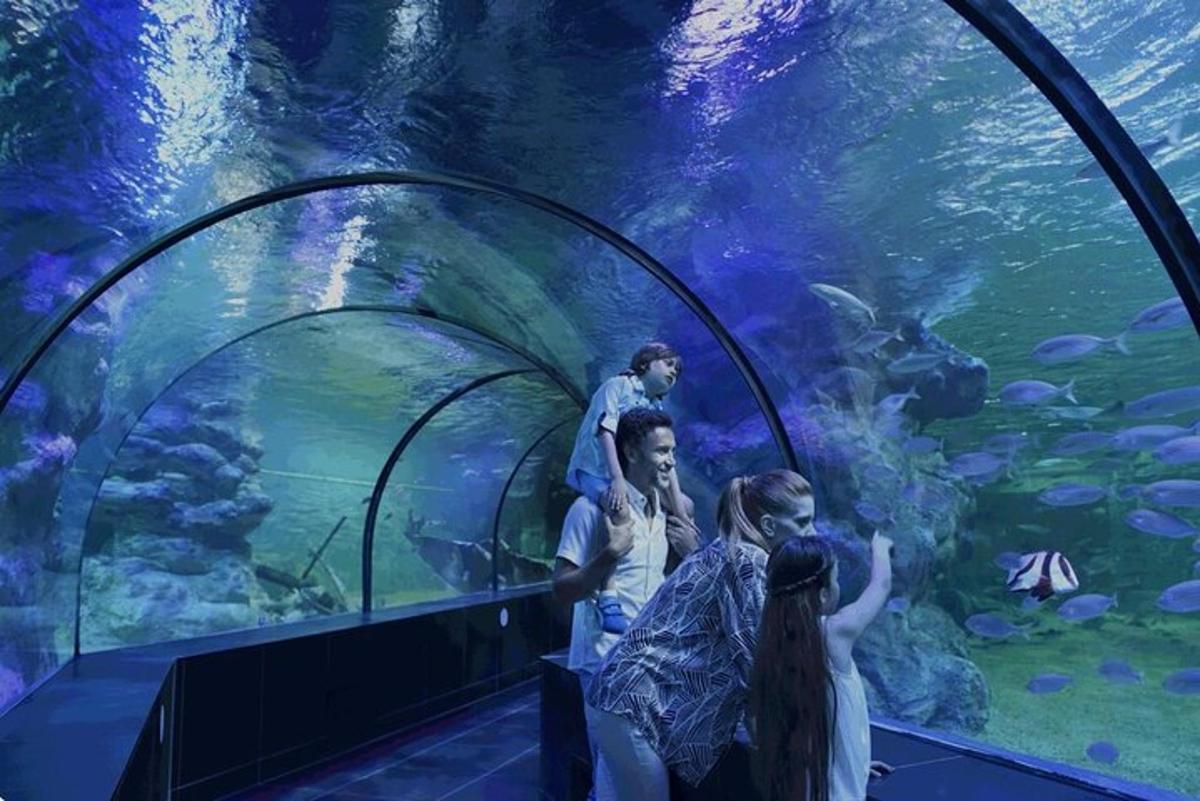 un gruppo di persone che osserva i pesci in un acquario