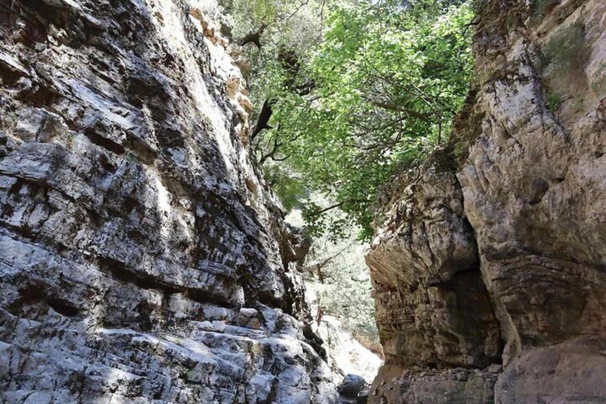 ένα στενό μονοπάτι σε έναν βραχώδη ορεινό γκρεμό