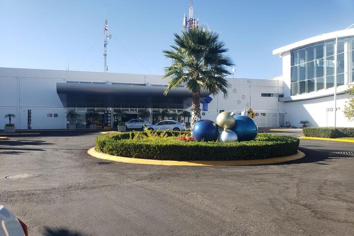 un parcheggio con una palma e un edificio