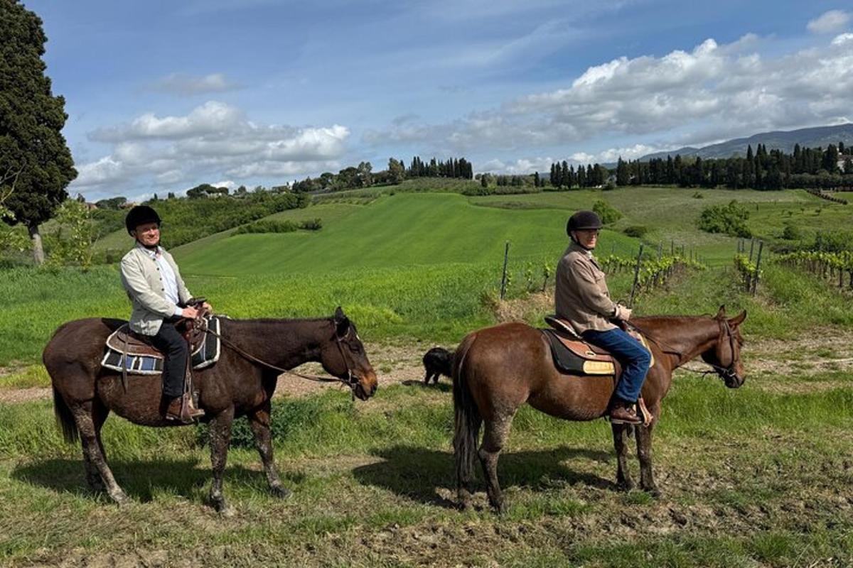 two people sitting on horses in a field