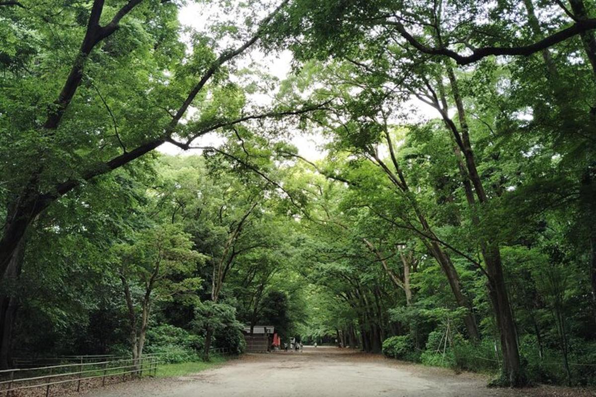 un camino de tierra a través de un bosque de árboles