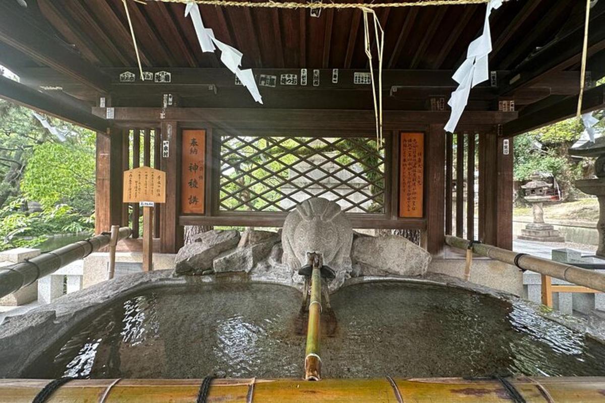 una piscina d'acqua con una fontana in un edificio
