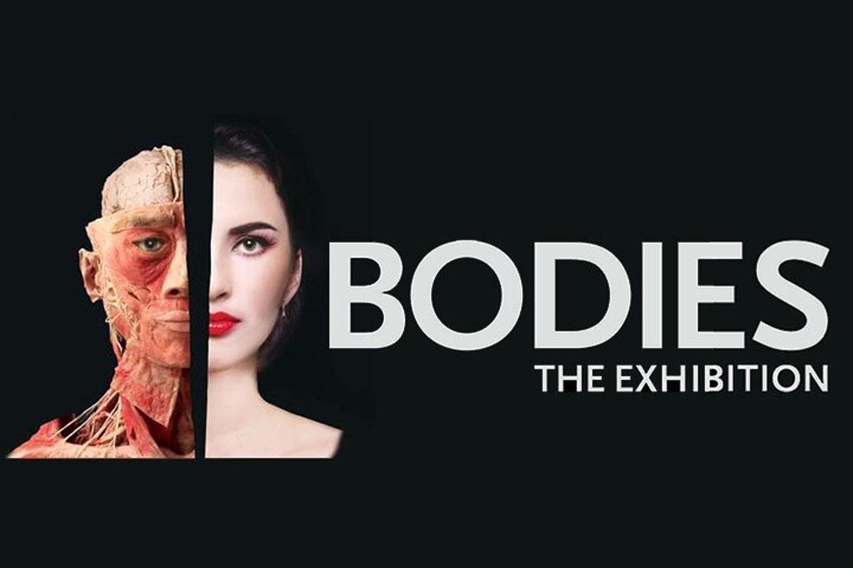 a banner with a picture of a woman and the words lobes